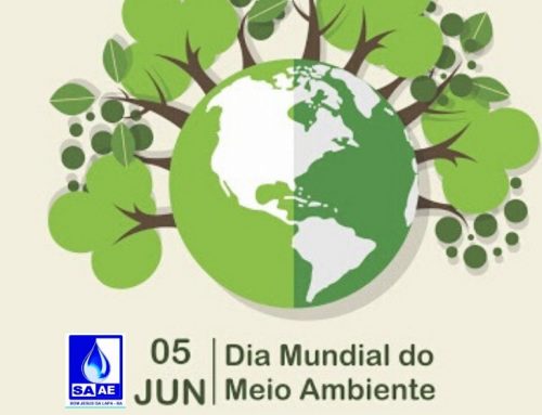 Dia Mundial do Meio Ambiente 05/06